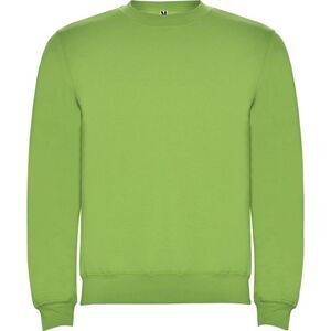 Roly Unisex Adult Clasica Crew Neck Sweatshirt / Oasis Green